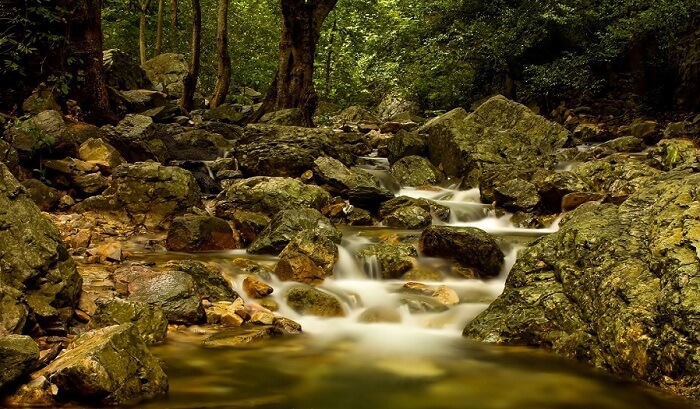 A view of Tada falls through dense shade