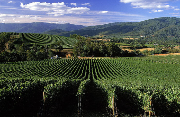 Yarra Valley in Victoria is most pleasantly weathered among the Australia honeymoon destinations