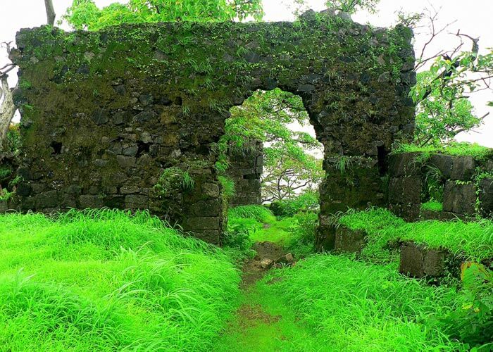 A road trip from Mumbai leads to the Karnala fort and bird sanctuary