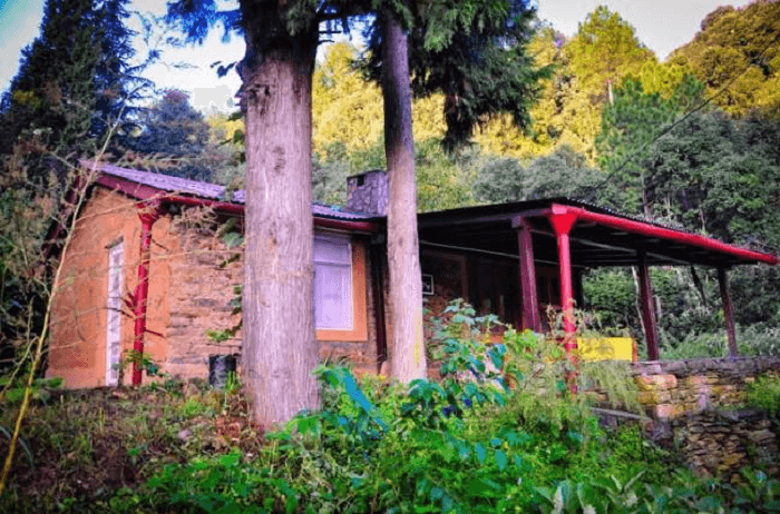 Innisfree Farm has its own cattles and poultry to look after its kitchen needs