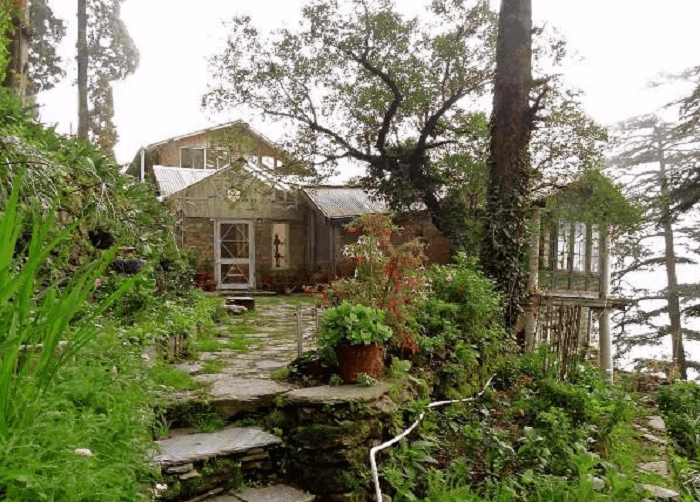 Aira Holme in Shimla is a surprise amidst the urban forests