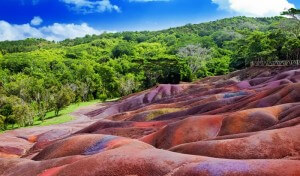 The magnificent Charamel seven coloured earth