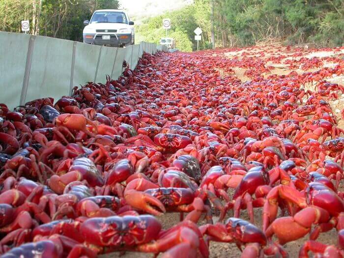 Christmas island in Indian Ocean