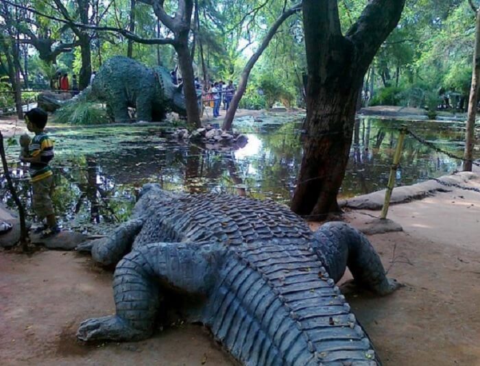 Indroda Nature Park, Gandhinagar is another place for a one day picnic near ahmedabad