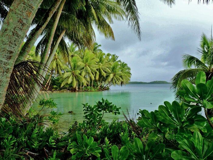 Palmyra Island in North Pacific