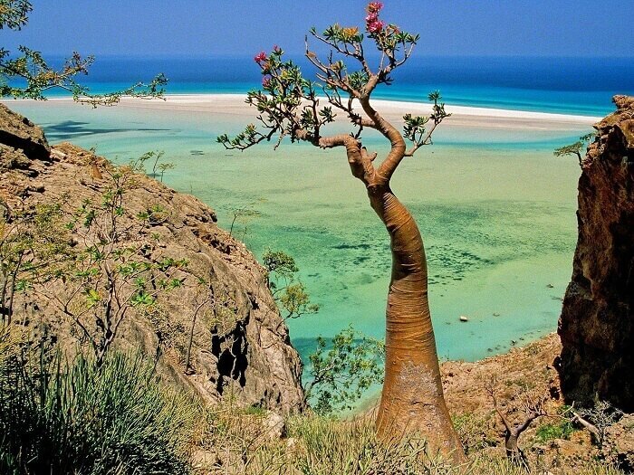 Socotra Island in Yemen