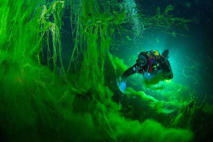 A diver tries to find his way back to shore in Blue Lake in Russia
