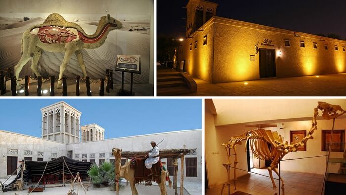 11 Absolutely Free Things To Do In Dubai