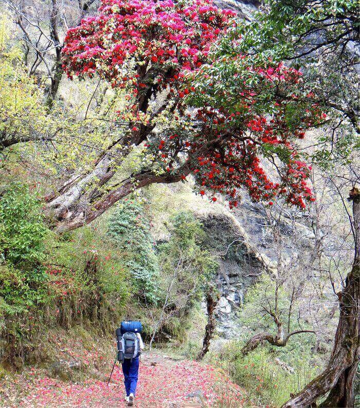 A beautiful journey