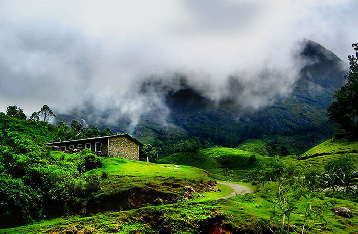 A road trip from Bangalore to Munnar through the beautiful hills of Munnar
