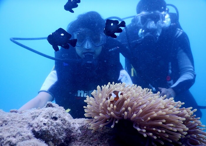 Scuba diving in Andaman