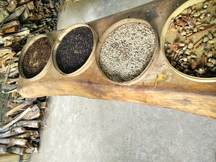 A variety of coffe displayed at the Coffee garden in Bali