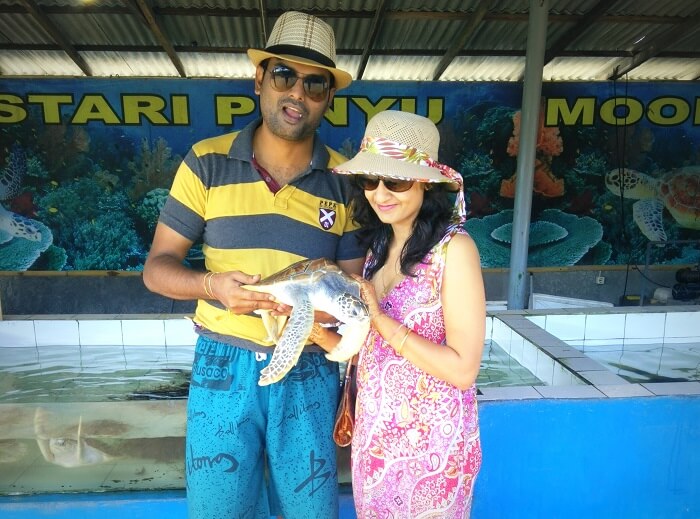 At the Turtle Island, Bali