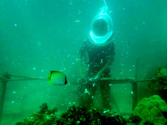 Underwater seawalker at Benoa beach