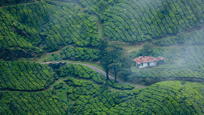 The roads leading from Hyderabad to Kannur through scenic green pastures