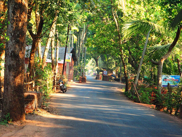 The roads leading from Mumbai to Tarkarli