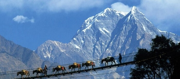 The stunning hills of Pelling, as seen on a road trip from Darjeeling to Pelling