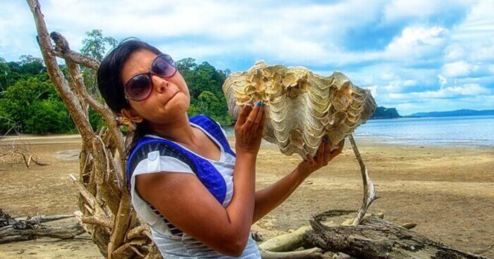 A scenic view in Andaman
