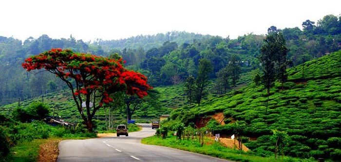 thekkady nearby tourist places