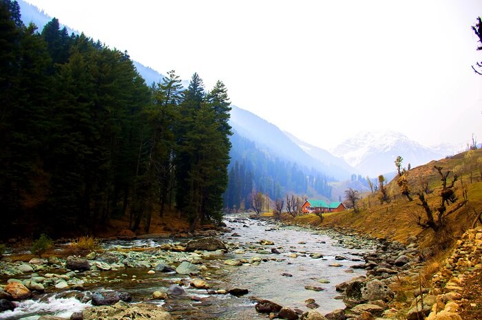 Aru- lider stream 50ft from guest house