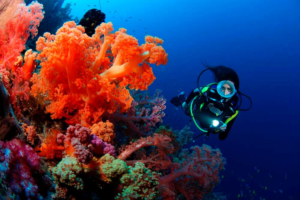 A young maid scuba-diving through the coral reefs of Waidroka