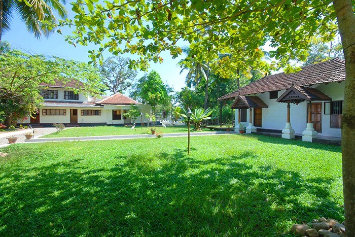 The vast green serenity of Akkarakalam Memoirs
