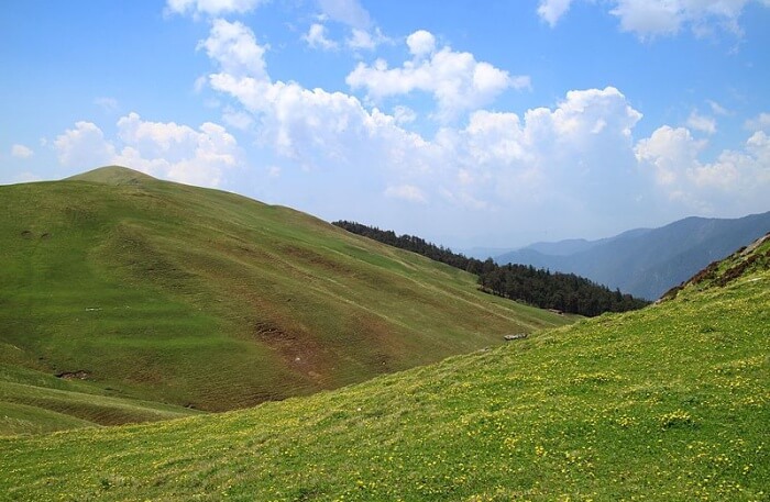 Green Natural beauty