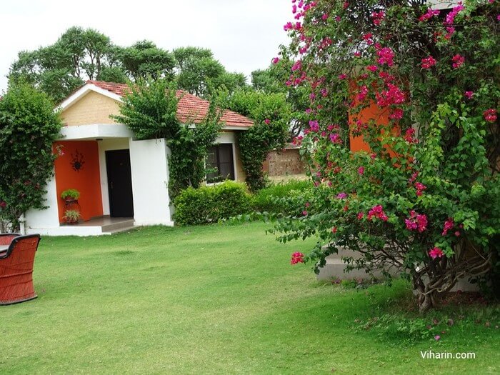 The vast spread of greenery and tented accommodations make Pushkar Hill Resort a preferred resort in Pushkar