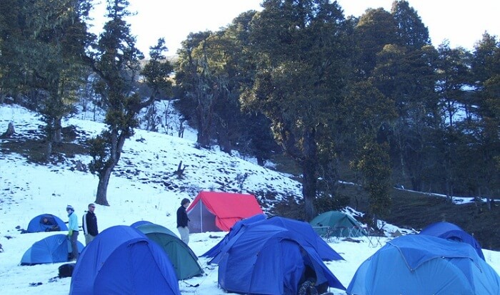 People rest in tents on the snow carpet on a Dayara Bugyal trek
