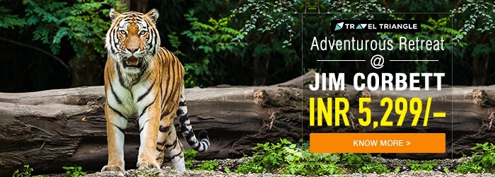 Jim Corbett getaway trip 2 at INR 5,299 only
