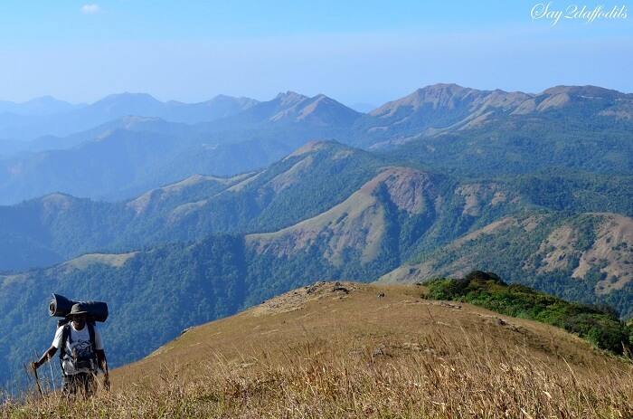The famous hill trek amongst Munnar trekking
