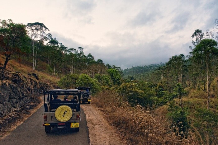 An early morning snap of a Jeep Safari in Thekkady