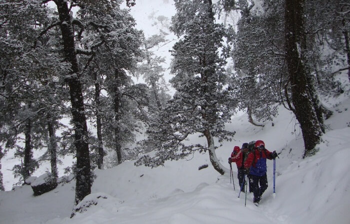 Trekkers make the ascend on the Kuari Pass winter trek