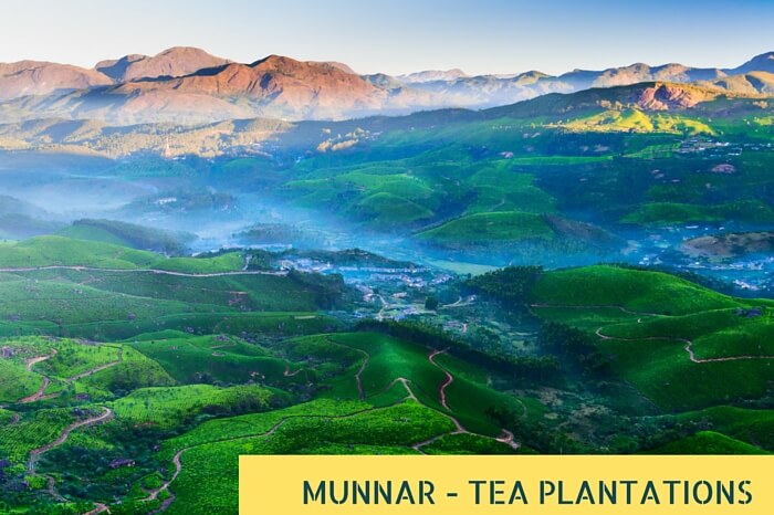 A sunrise snapshot of a foggy morning at tea plantation valley in Munnar