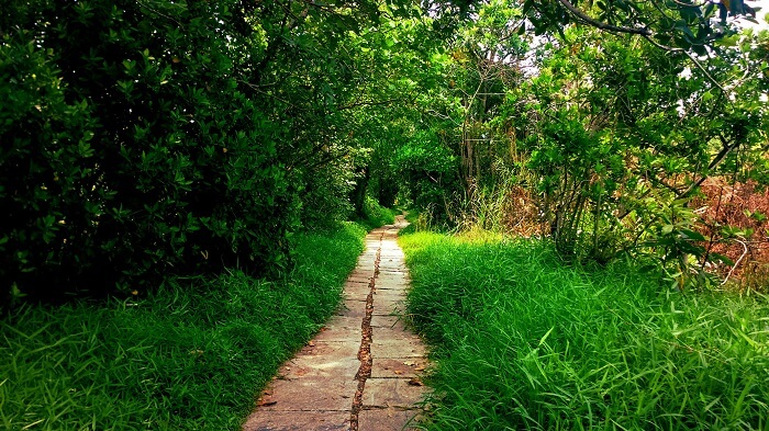 A mysterious trail in the Island of Pathiramanal