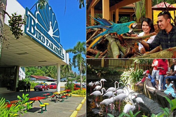 Scenes from inside and outside the Bird Paradise