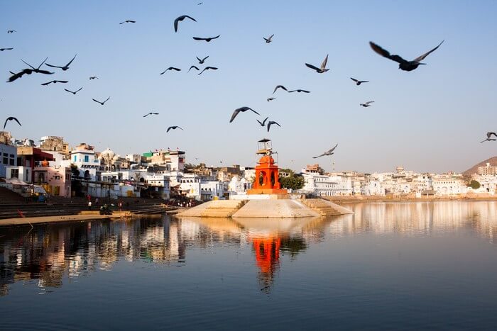 Birds flock away from the Pushkar Lake on a fine evening