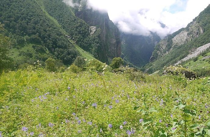 Screenshots From The Valley Of Flowers