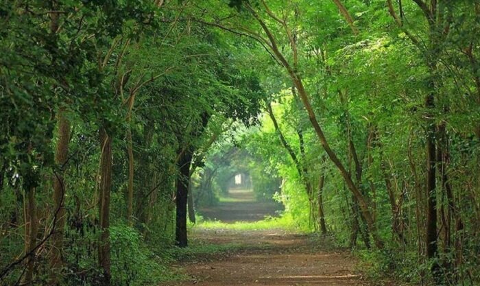 lovers visit places in chennai