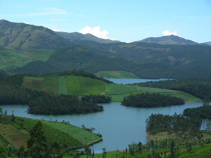 Scenic views of the lush greenery in Coonoor
