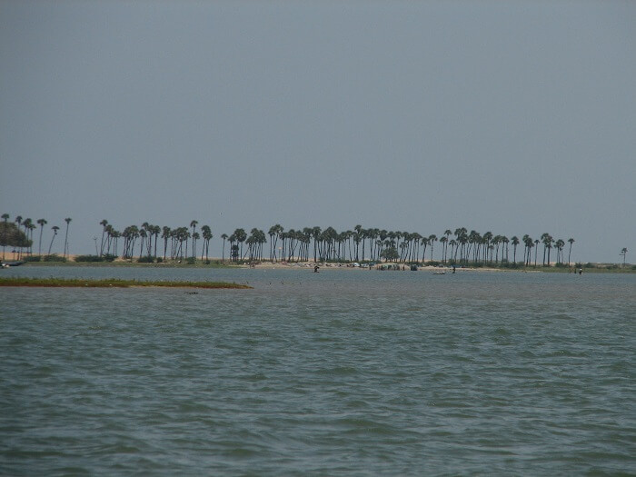 pulicat nellore