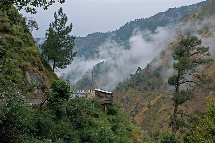 tourist places near kasauli himachal pradesh