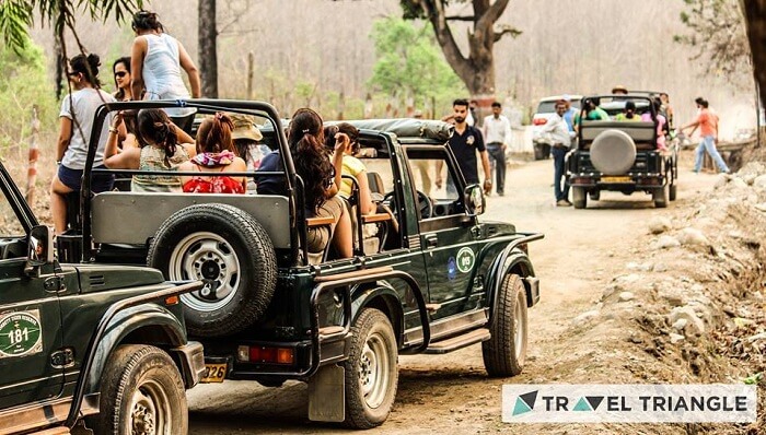 Girls on a jungle safari in Jim Corbett
