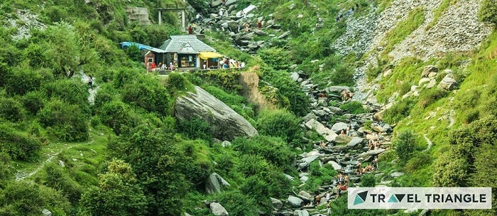 Nature of McLeodganj