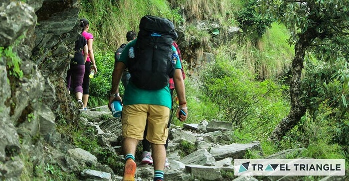 Trekking in Triund