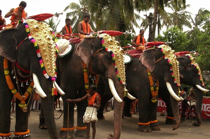 7 Most Popular Festivals In Kerala