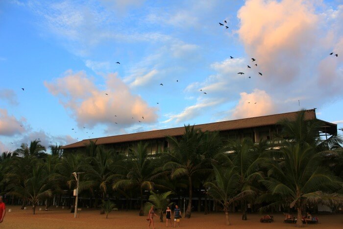 My hotel at Negombo