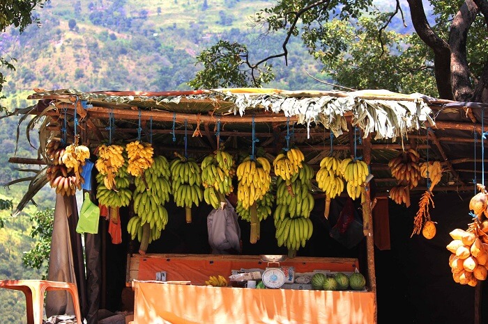 Tasty bananas of Sri Lanka