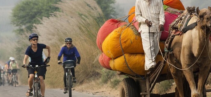 A group exploring Rajasthan during their cycle tour