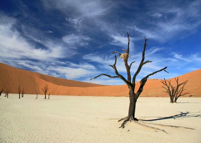 Enormous beauty of Dead Vlei